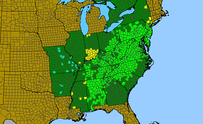 The range of Pinus virginiana